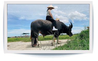 tour-in-cam-thanh (8).jpg